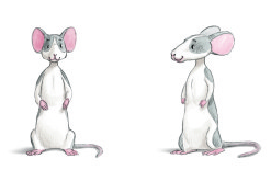 City_the_mouse_from_eumundi_and_friends_childrens_book_series