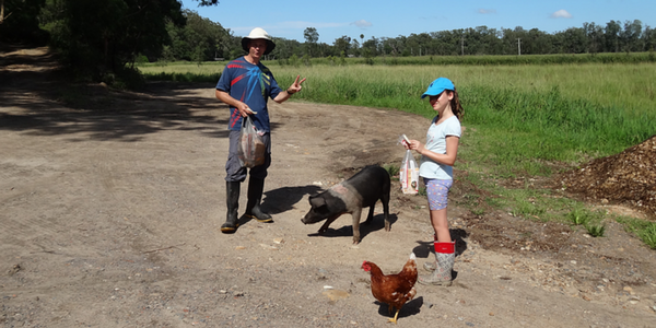 Farm Fun – The Story Behind the Story